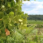 Lejlighed Flora *