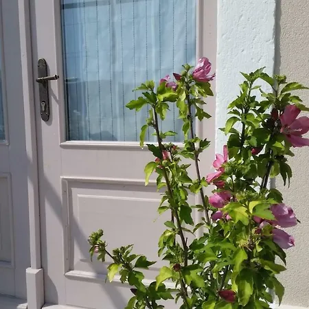 Apartment Flora Secovlje