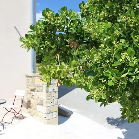 Flora Apartment