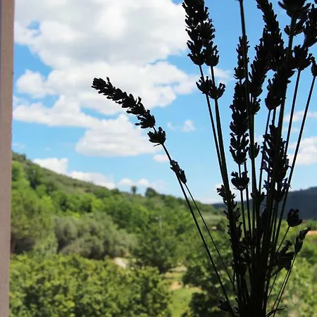 Flora * Secovlje