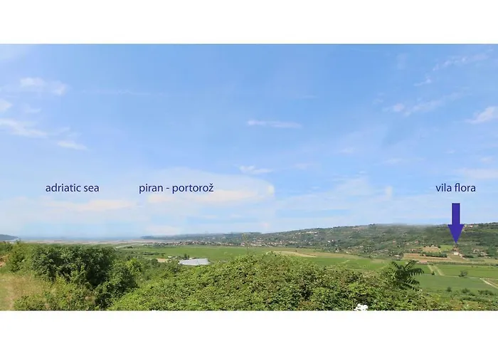 Flora Διαμέρισμα Sečovlje