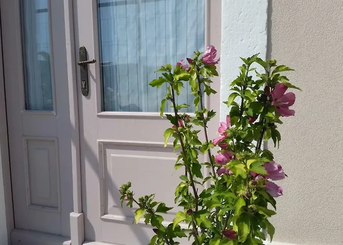 Διαμέρισμα Flora Sečovlje