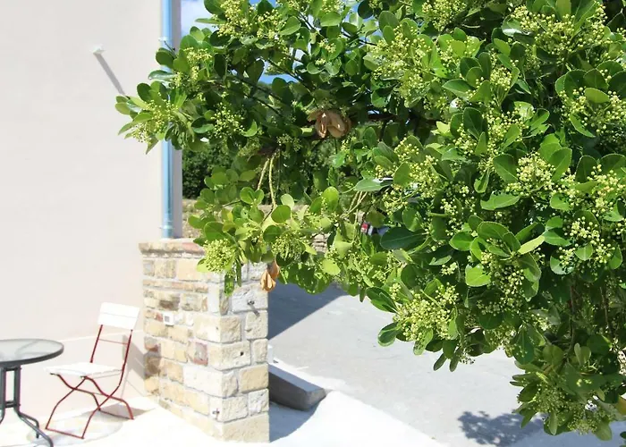 Flora Διαμέρισμα